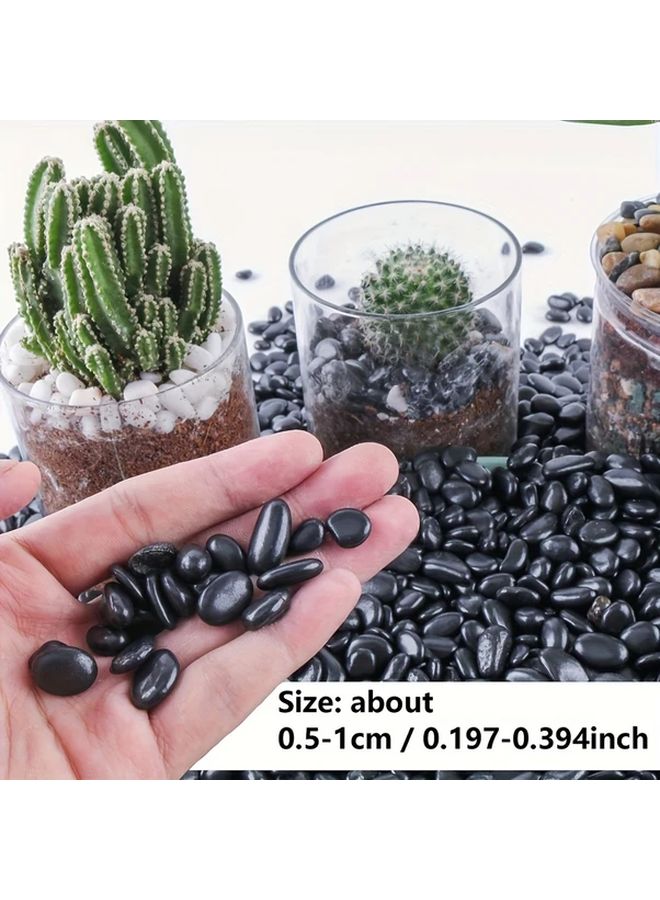 Small Black Decorative River Pebbles 4 Pounds for Aquarium Garden and Vase Filler - Image 4
